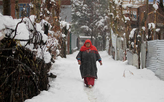 Intense cold wave grips Kashmir Valley