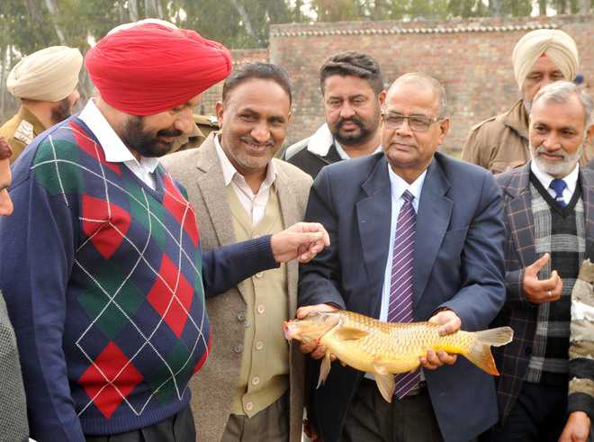 Blue revolution: First fish feed mill opens in Rajasansi