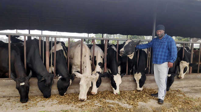 This Dairy Farmer From Jatike Village Sets An Example