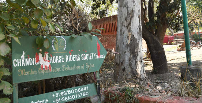 Horse riding training centre to come up at Sarangpur