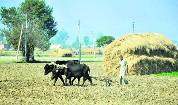 Insurance firms reap  Rs 15,000-cr profit, fail to pay farmers  Rs 2,800 cr