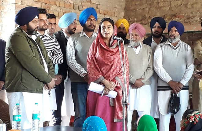 Harsimrat lashes out at Cong govt for ‘misleading’ people