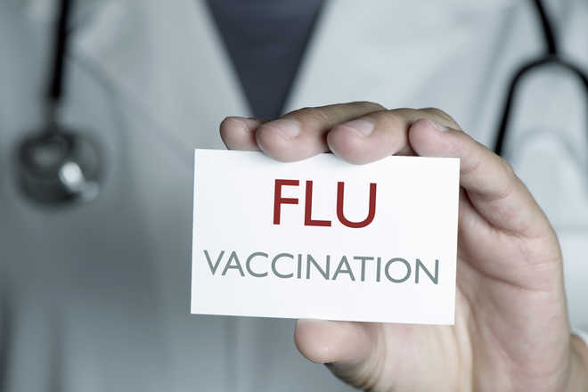 ‘Killer’ immune cells may lead to universal flu vaccine