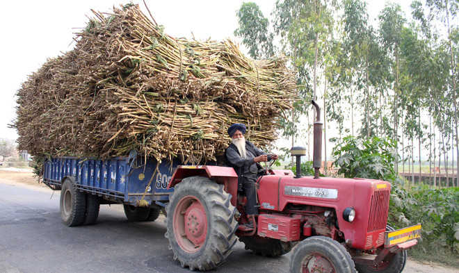 Cane farmers plan to hold huge protest soon