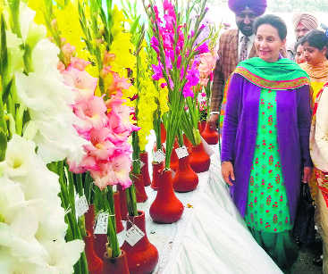 Visual, gourmet treat for visitors at Baradari Gardens in city