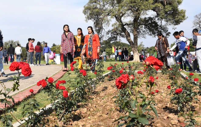 history of rose garden chandigarh