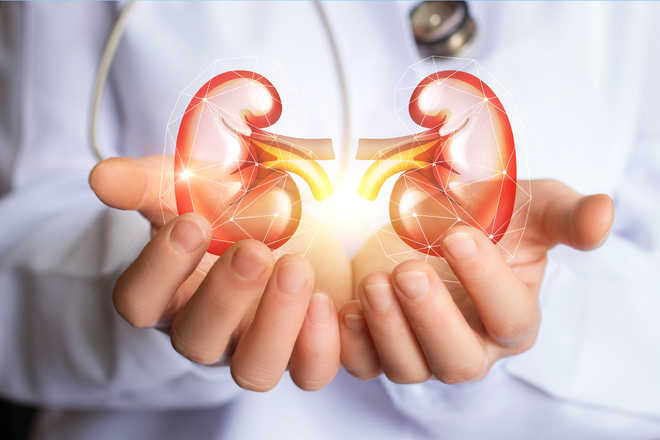 Avoid the kidney busters