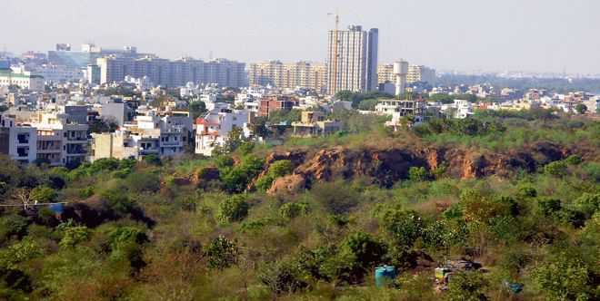 Residual Aravalli forests at stake