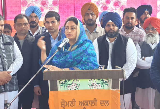 People will teach Cong a lesson in polls: Harsimrat