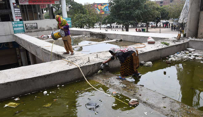 MC gets act together, drains out dirty water in Sector 17