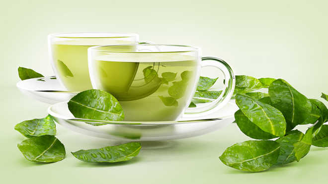 Green tea may cut obesity risk, other health disorders