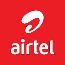 Airtel arm seeks licence for in-flight connectivity