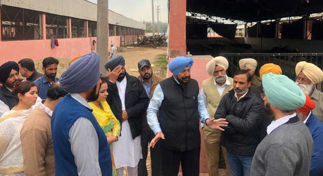 Inquiry marked into death of cattle at Mohali gaushala