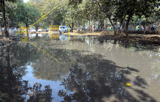Sewage water swamps Gurugram sector gate