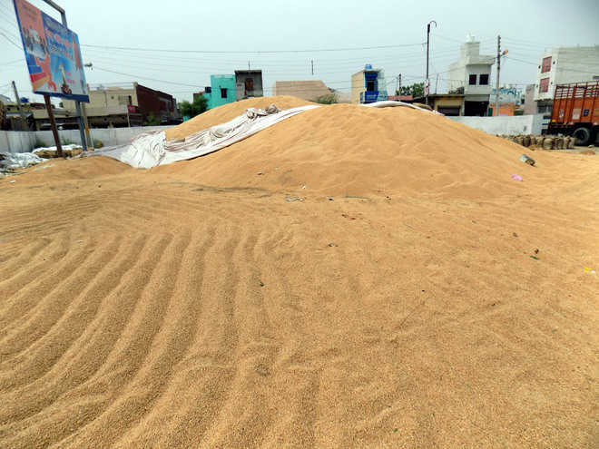 Nakas to check wheat arrivals from other states
