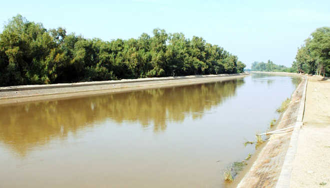 Canals closed for a month for repair The Tribune India