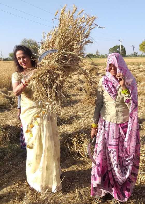 Hema Malini tries her hand at wheat cutting, invites Oppn’s ridicule