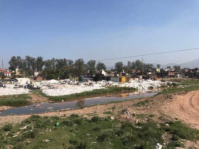 Toxic chemicals finding way into Sirsa river