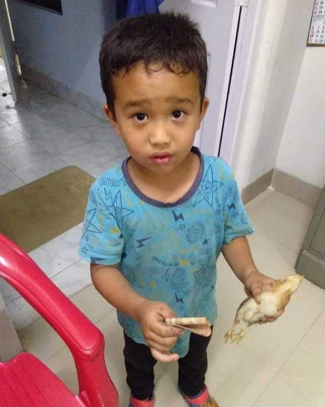 6-year-old Mizo boy rushes chicken to hospital after running it over; FB impressed