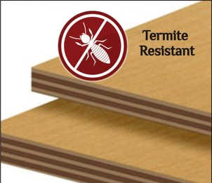 Products to sabotage termite attack
