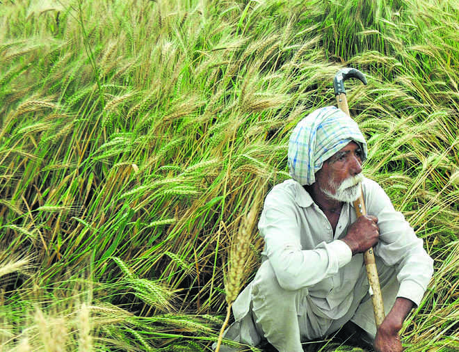 Punjab’s never-ending woes