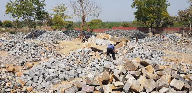 NGT again seeks report on illegal mining in Surajkund