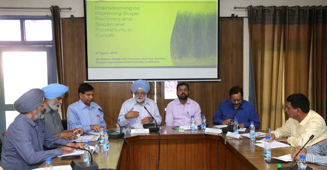 Shared brainstorming to enhance sugarcane production in Punjab
