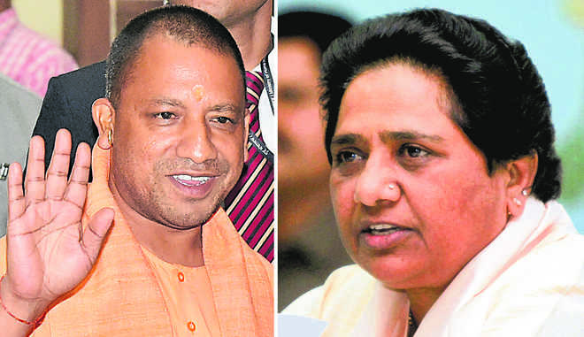 Ec S Campaign Bar On Yogi Maya