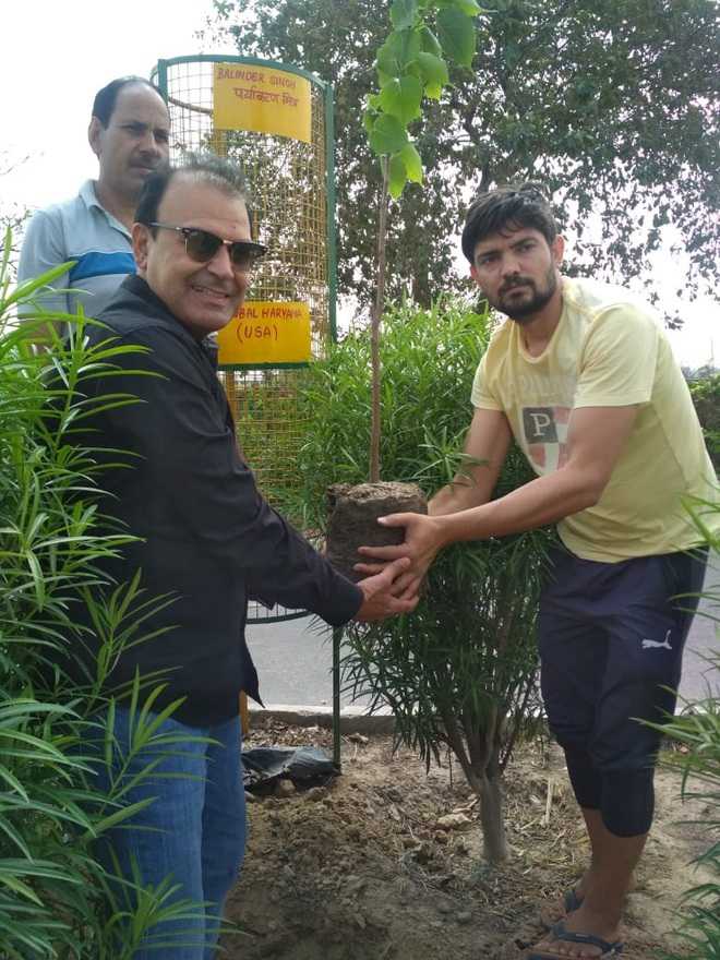 'Tree Man' keen to spread green cover
