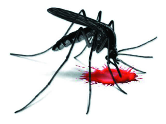 Manpower crunch hits anti-dengue drive