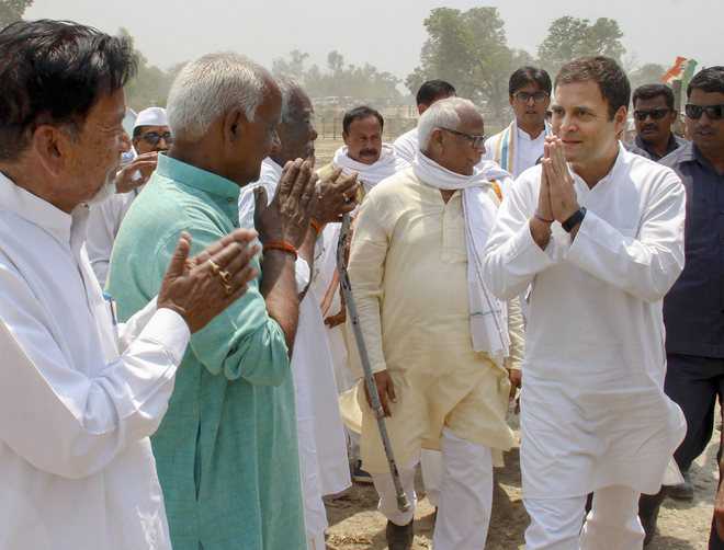 Amethi RO rejects objections, declares Rahul’s papers valid