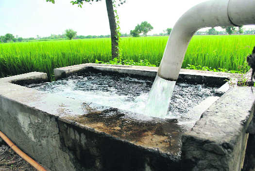 PSPCL to check misuse of farm power