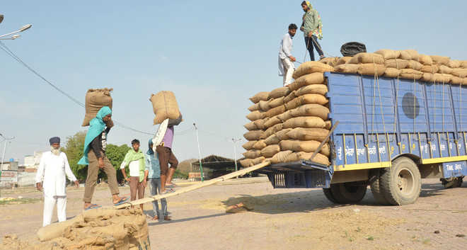 Wheat arrival begins, 6,969 metric tonnes procured
