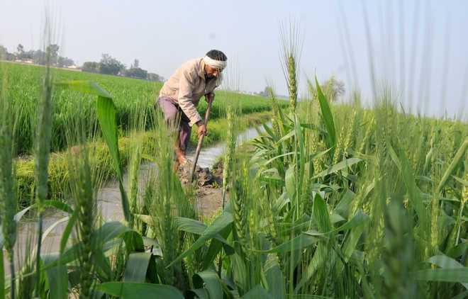 ''PM KISAN scheme to benefit just 38% farmers till polls ends’
