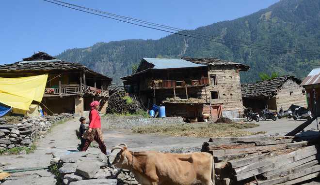 Sewerage, drinking water facility elude Mandi MP’s adopted village in Old Manali