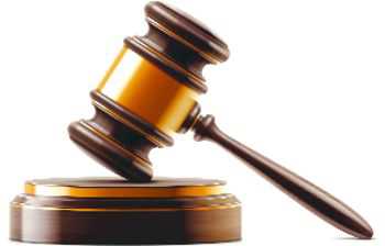 HC upholds 12-yr jail term for two Pak drug peddlers