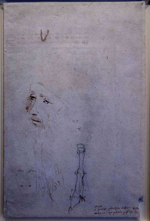 Da Vinci’s second known portrait found