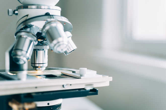 Novel microscope can non-invasively diagnose, treat diseases: Study