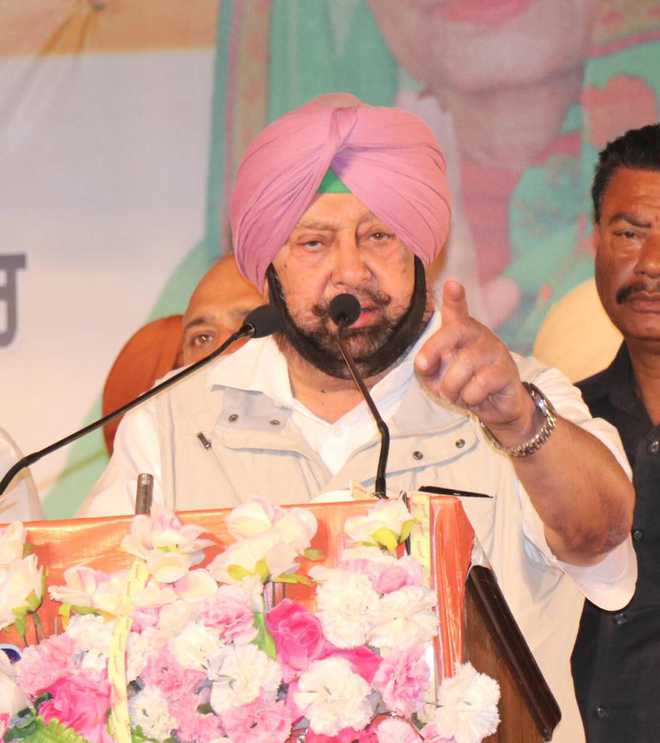Cong of 2019 different from 2014; giving more space to regional leaders: Capt Amarinder
