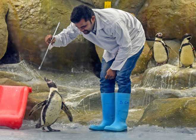 Rs 200 cr facelift for Mumbai zoo as mayor Vishwanath moves in