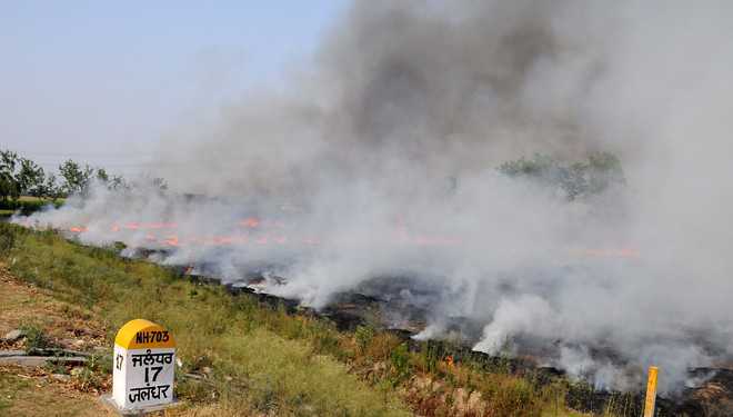Farm fires continue unabated, Moga admn cites LS elections