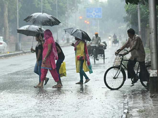 Rain in Punjab, Haryana brings down mercury - The Tribune