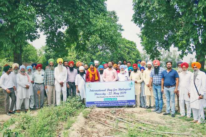 Farmers motivated to adopt diversified cropping system