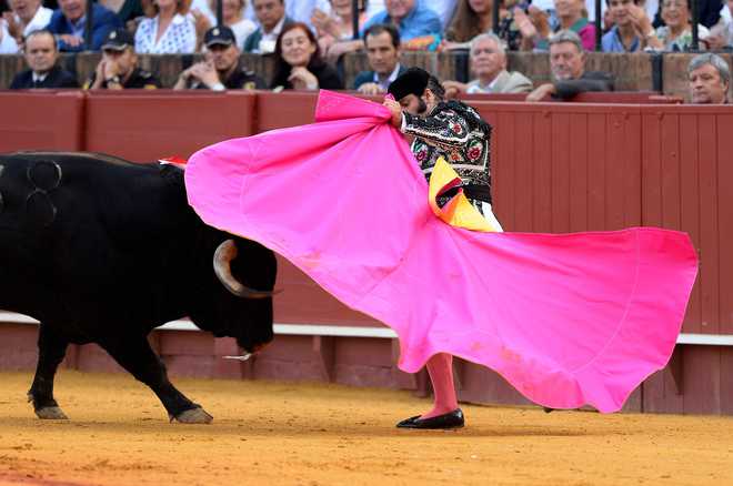 Madrid’s bullfighting ‘ritual’ acclaimed and contested