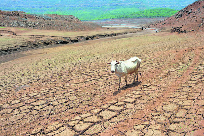 Staring at drought, Maharashtra weighs artificial rain option