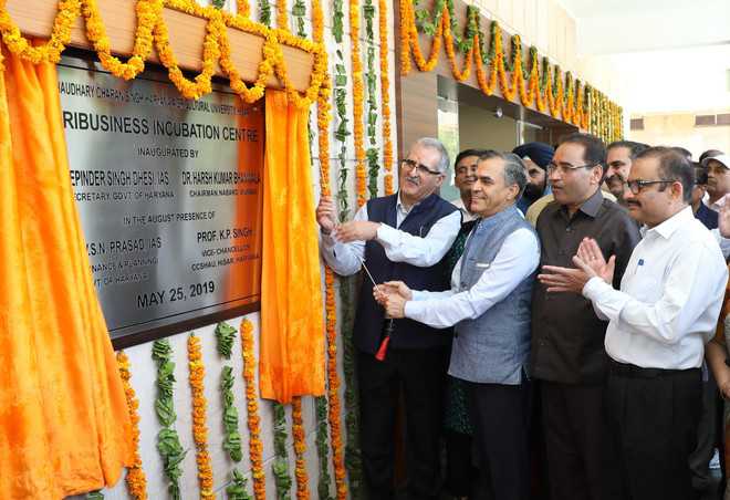 Agriculture incubation centre inaugurated at Hisar varsity