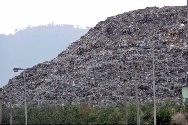 India’s ‘rubbish mountain’ may rise higher than Taj Mahal
