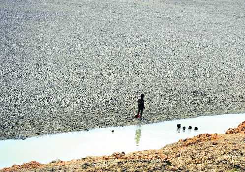 45% deficient rains, water scarcity severe