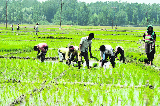 Agriculture may see big push