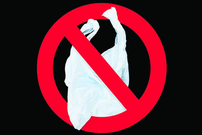 NGT bans use of plastic bags of less than 50 microns in Delhi violation  will attract Rs 5000 fineIndia News  Firstpost